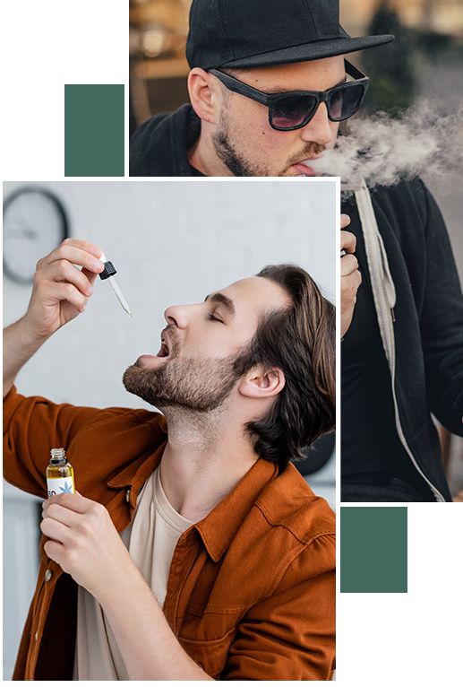 Optimizing absorption and metabolic pathways