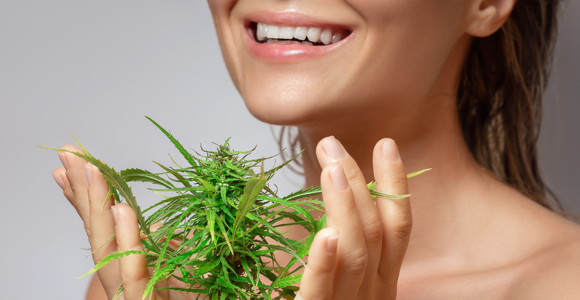 The intersection of plant science and modern consumption